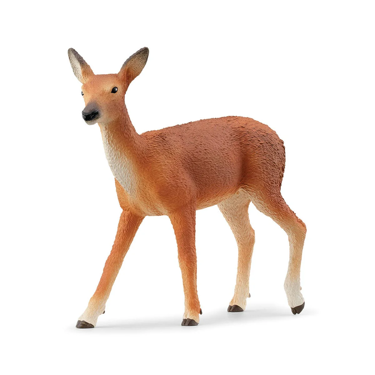 Vorschaubild 5