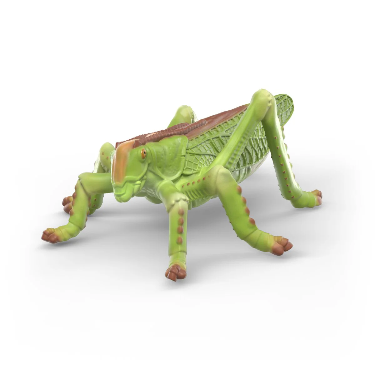 Vorschaubild 7