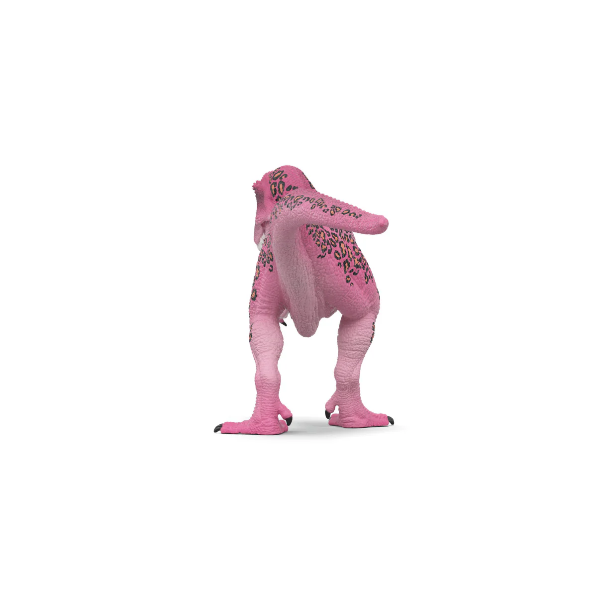 Vorschaubild 5