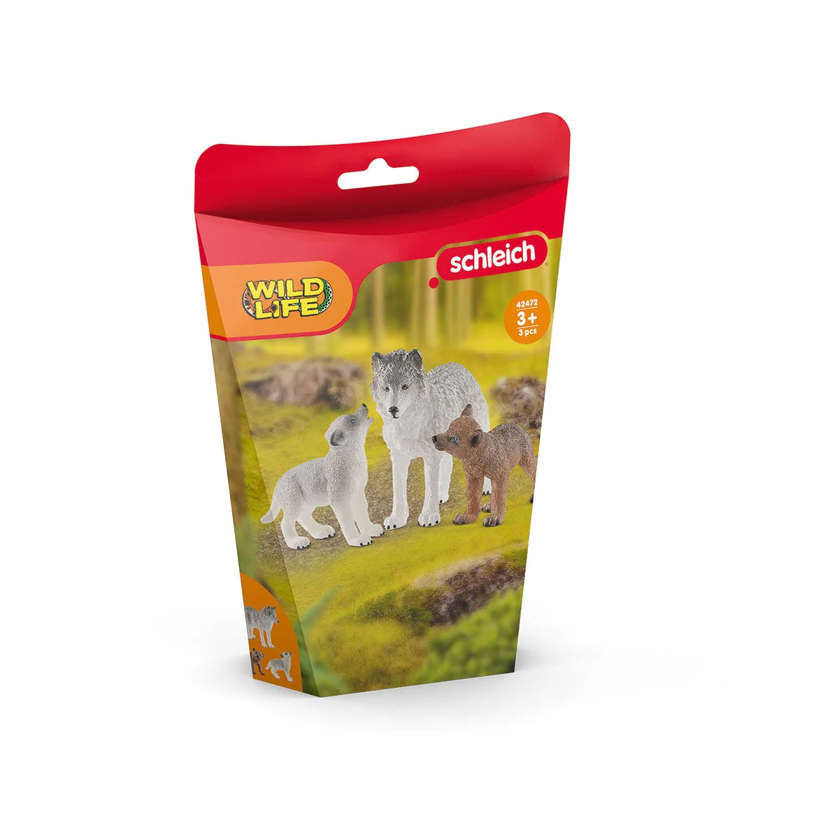 Vorschaubild 5